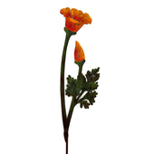 California Poppy Flower Painted Garden Pick