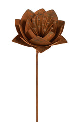 Queen Flower