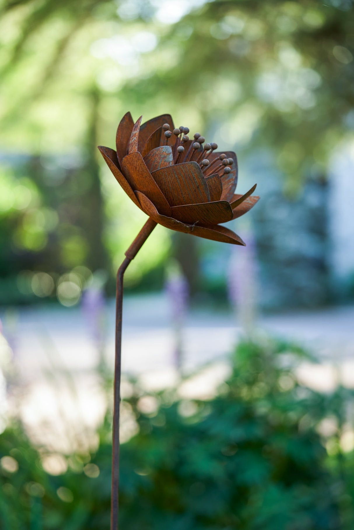 Queen Flower
