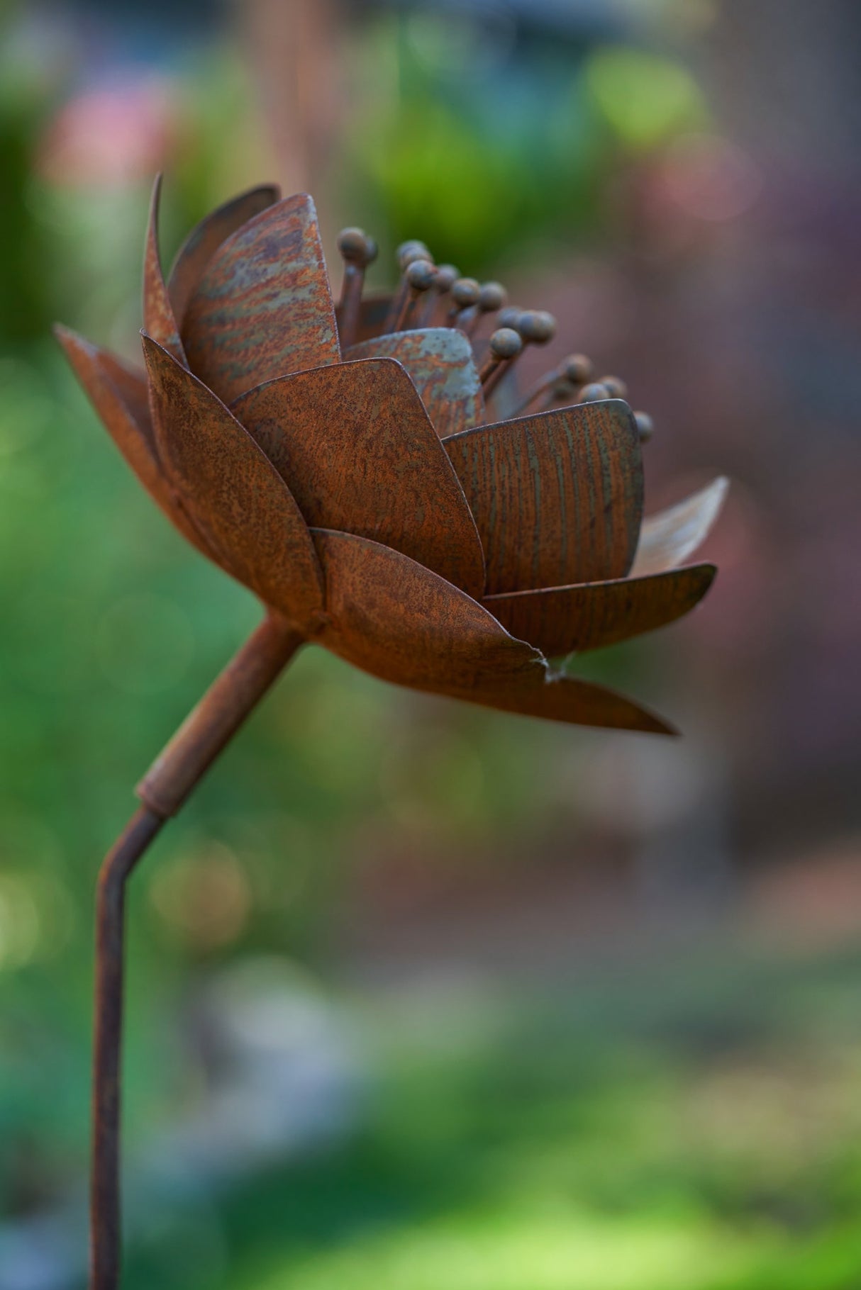 Queen Flower