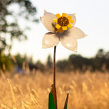 Daffodil Stake