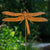Amberwing Dragonfly Stake