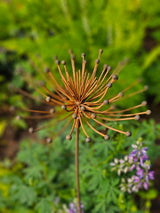 Solara Flower Stake