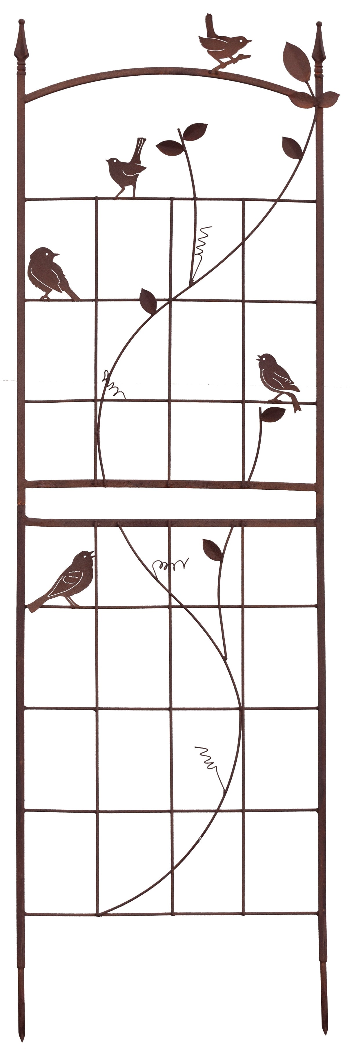 Bird Trellis