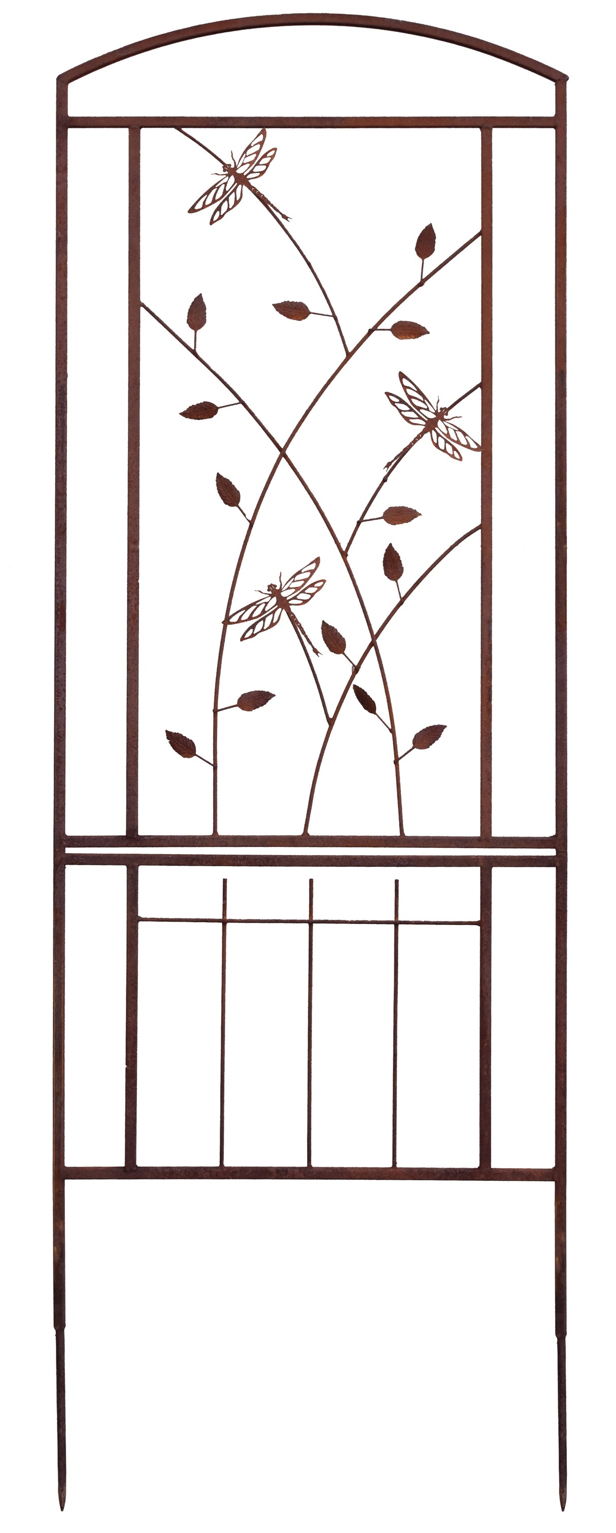 Dragonfly Trellis