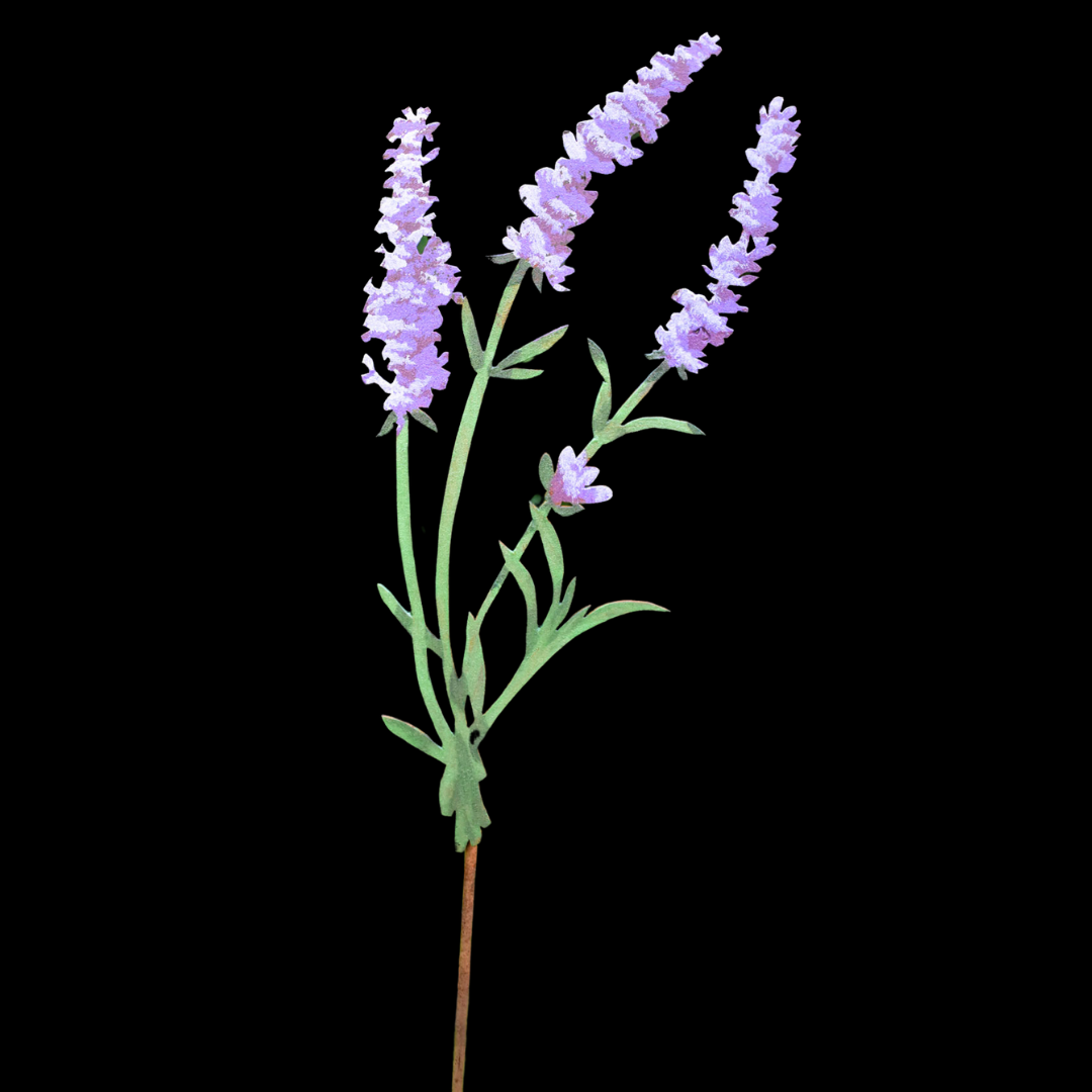 Lavender Stake - Hand Painted Wildflower