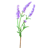 Lavender Stake - Hand Painted Wildflower