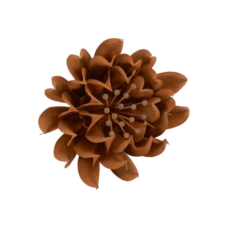 Zenia Flower