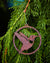 Hummingbird 3-Inch Ornament
