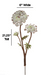 Queen Anne's Lace Flower Painted Garden Pick