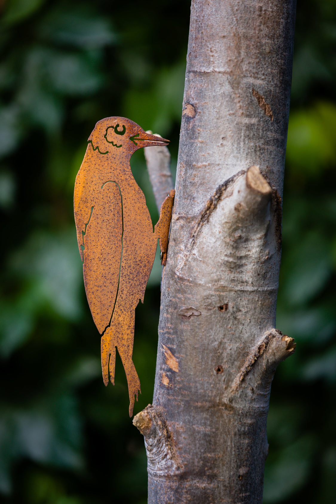 Rust Birds All Colored Rust All Products | Rusty Birds | Rustic Yard Art