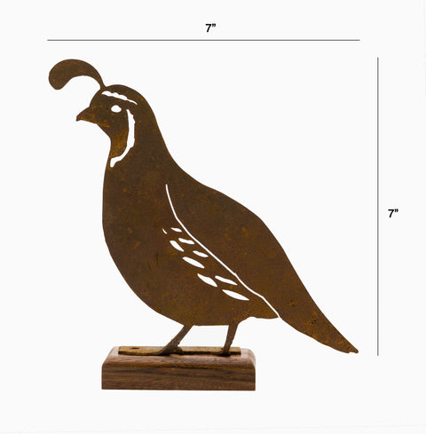 Male Quail