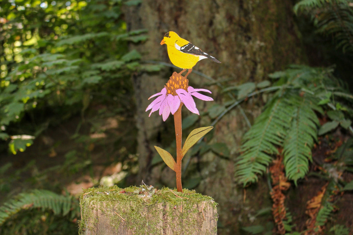 Goldfinch on Cone Flower