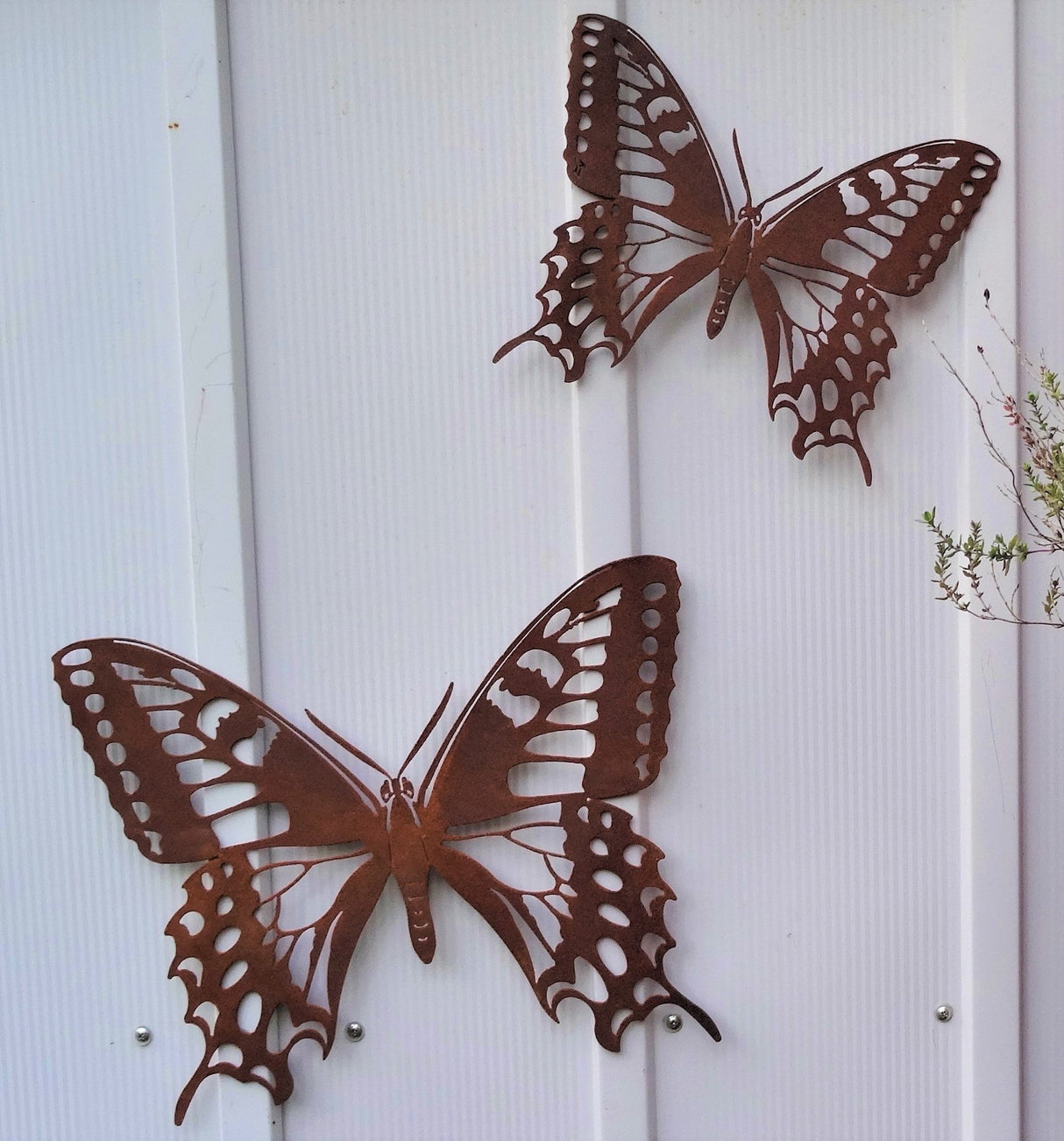 Photo of metal butterfly silhouette
