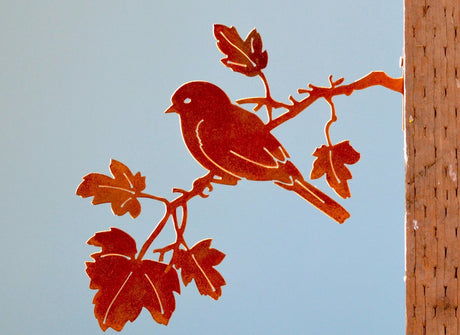 Bluebird on Maple Branch