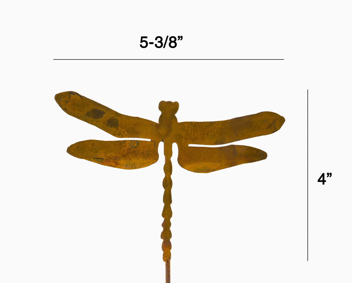 Dragonfly Pick