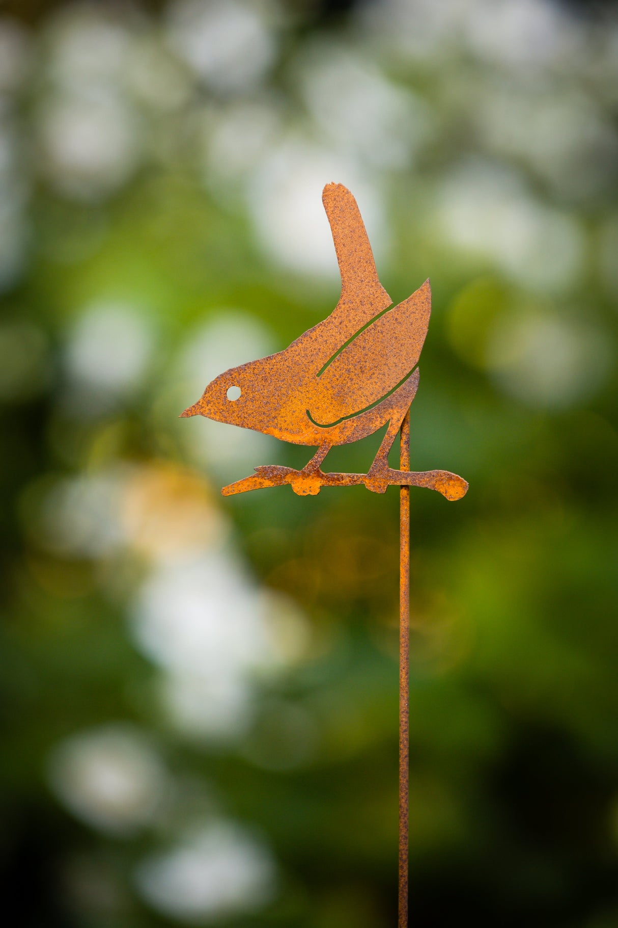 Wren on Branch Pick - Rusty Birds - Unique Outdoor Art