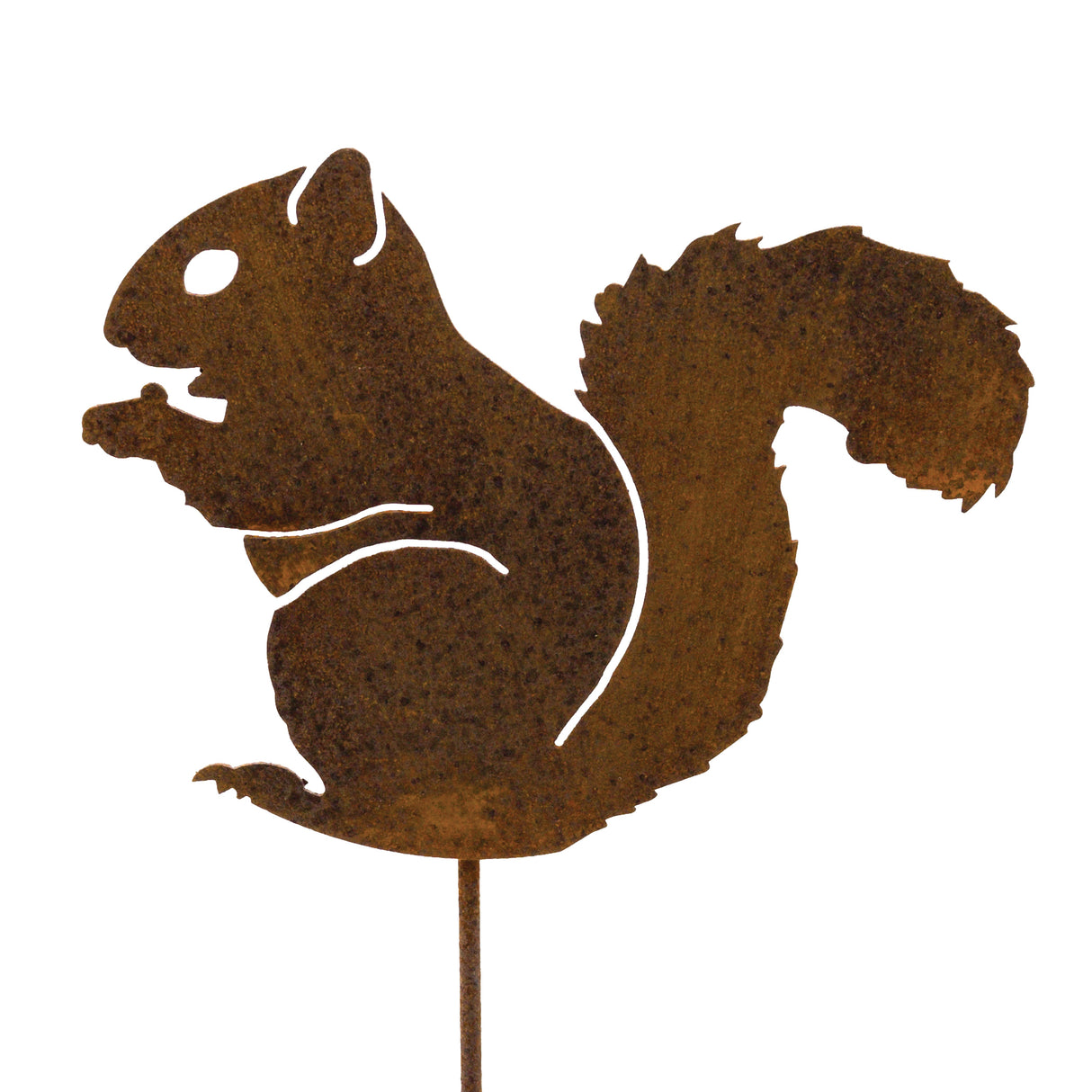 Nibbling Squirrel Pick