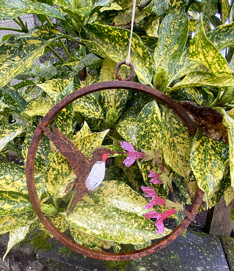 Painted Hummingbird on Salvia mini ring