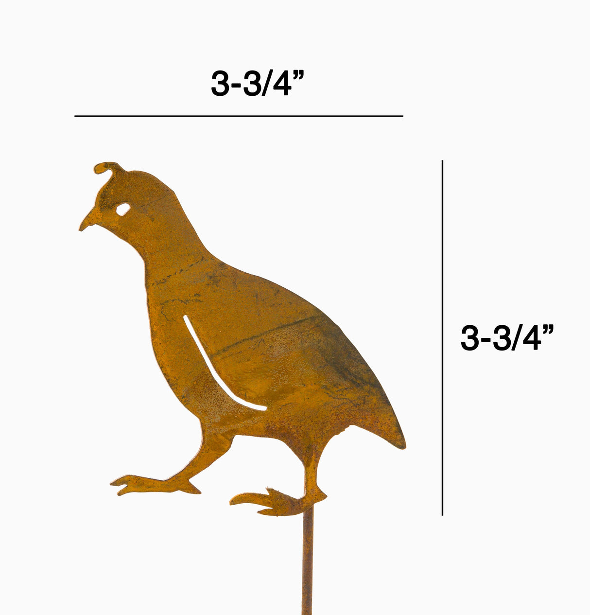 Quail - Chick Head Up - Stake