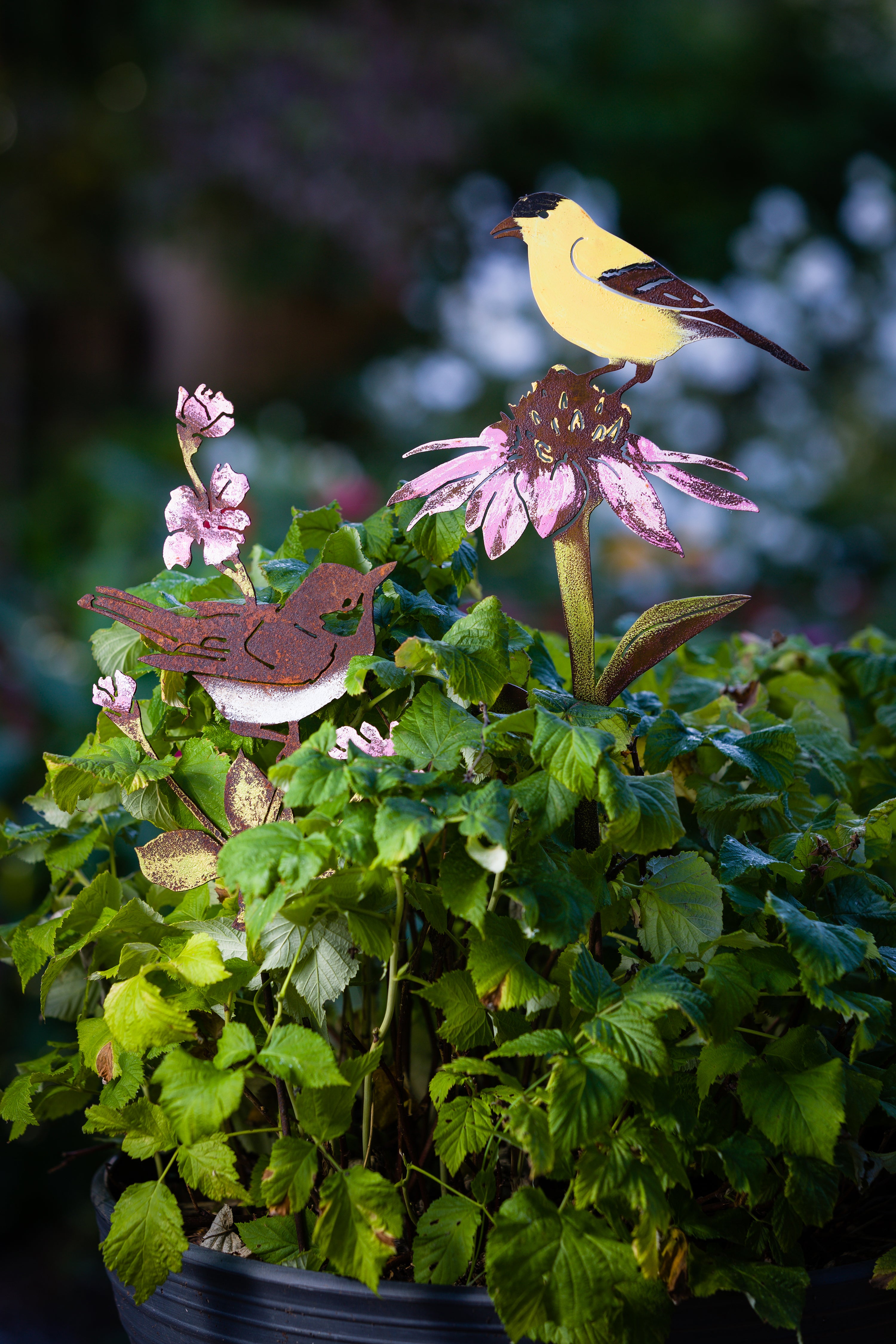 Stained Glass Goldfinch in a Field of Pink and Purple offers Coneflowers in a Horseshoe Frame