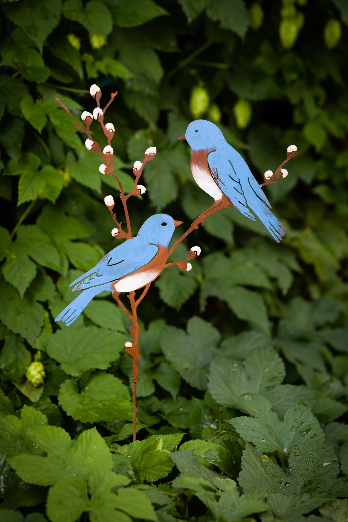 Bluebirds on Willow Branch Pick