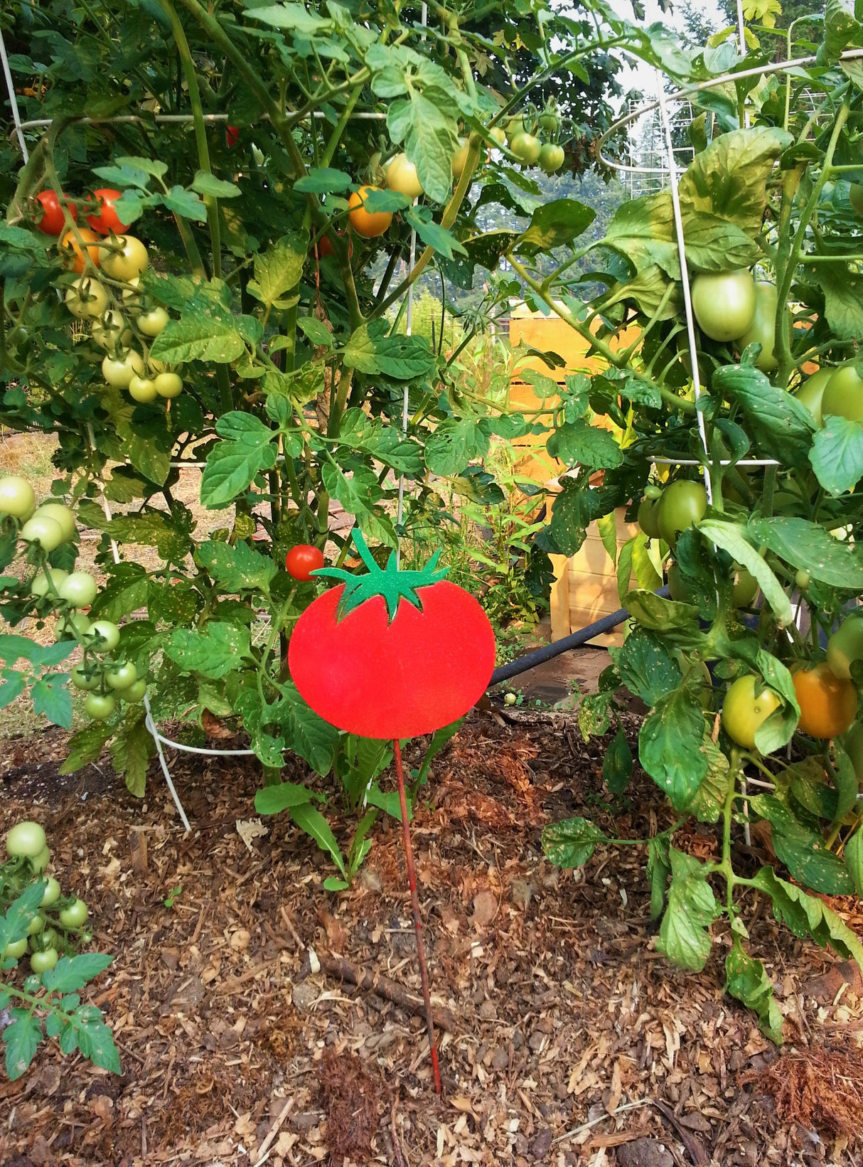 Vegetable Garden Marker - Tomato
